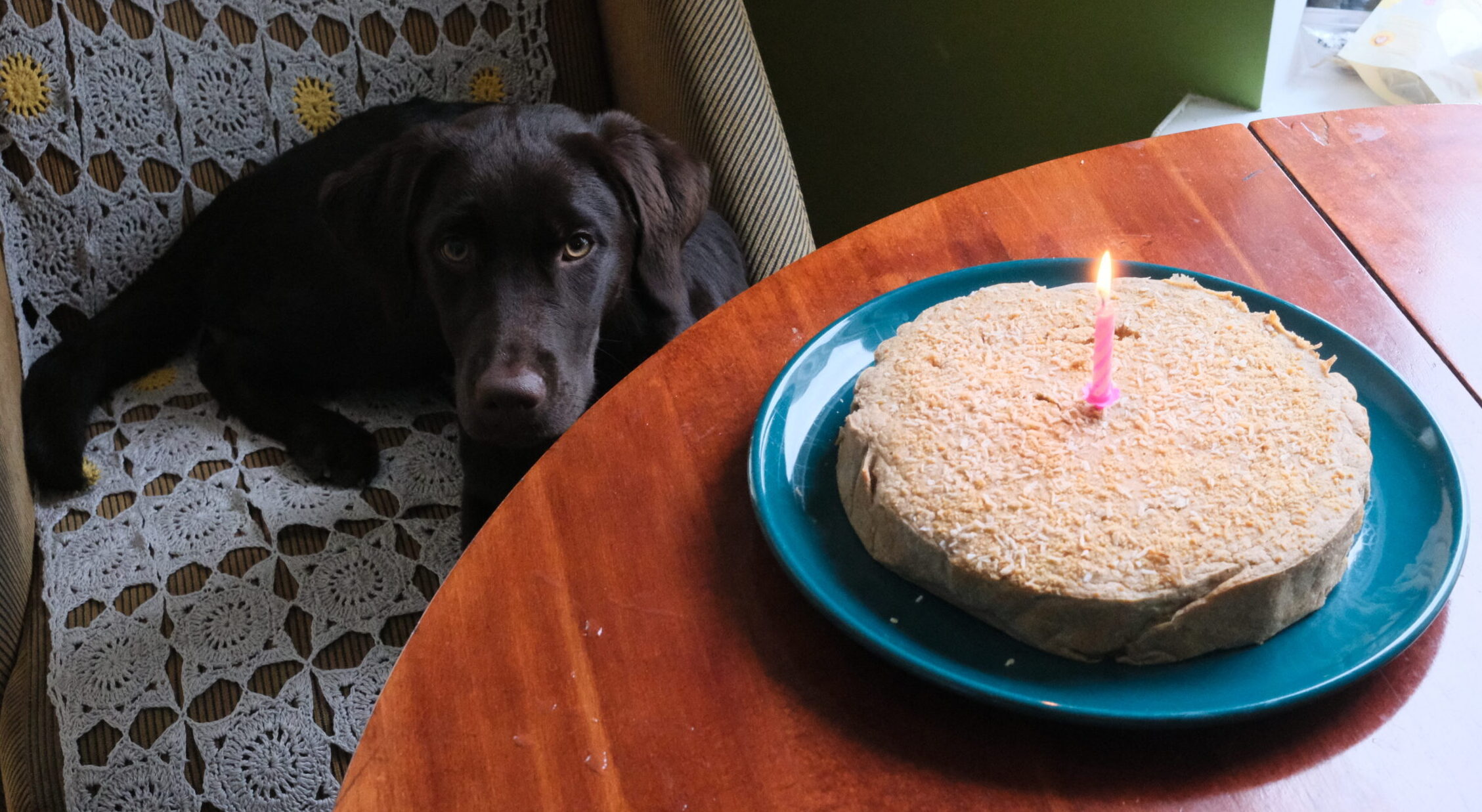 6 month birthday🥳