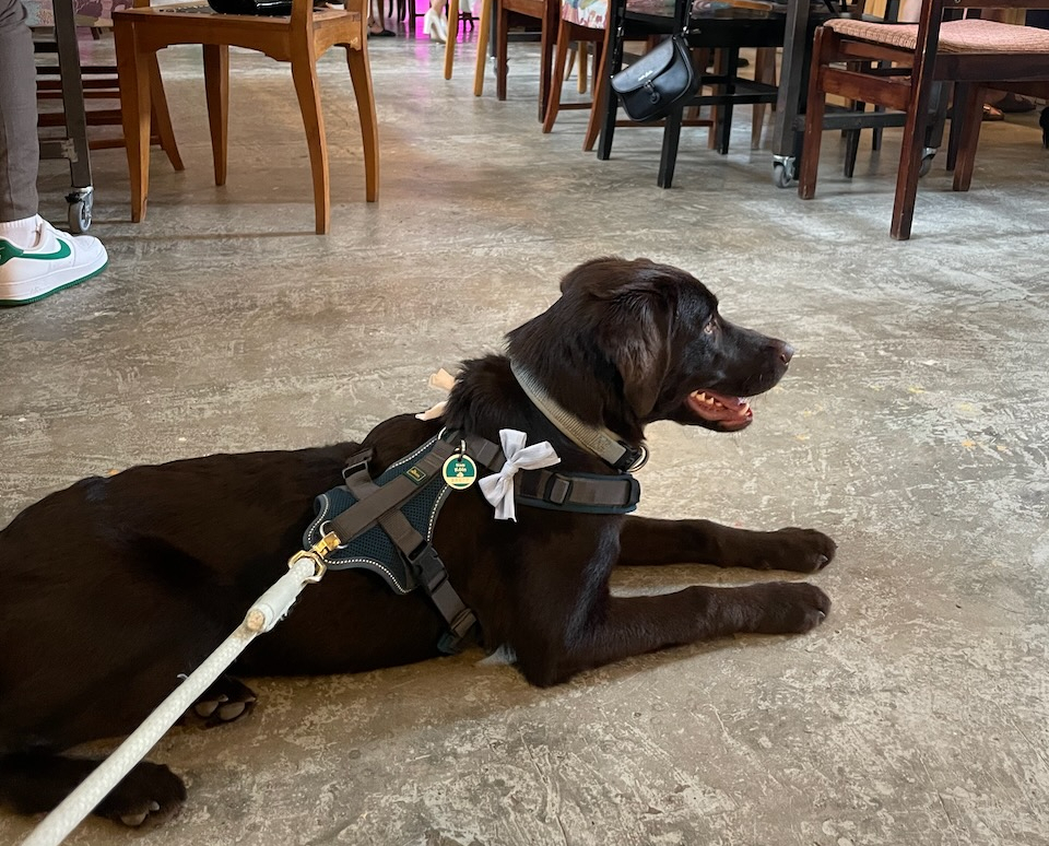 Youngest wedding guest