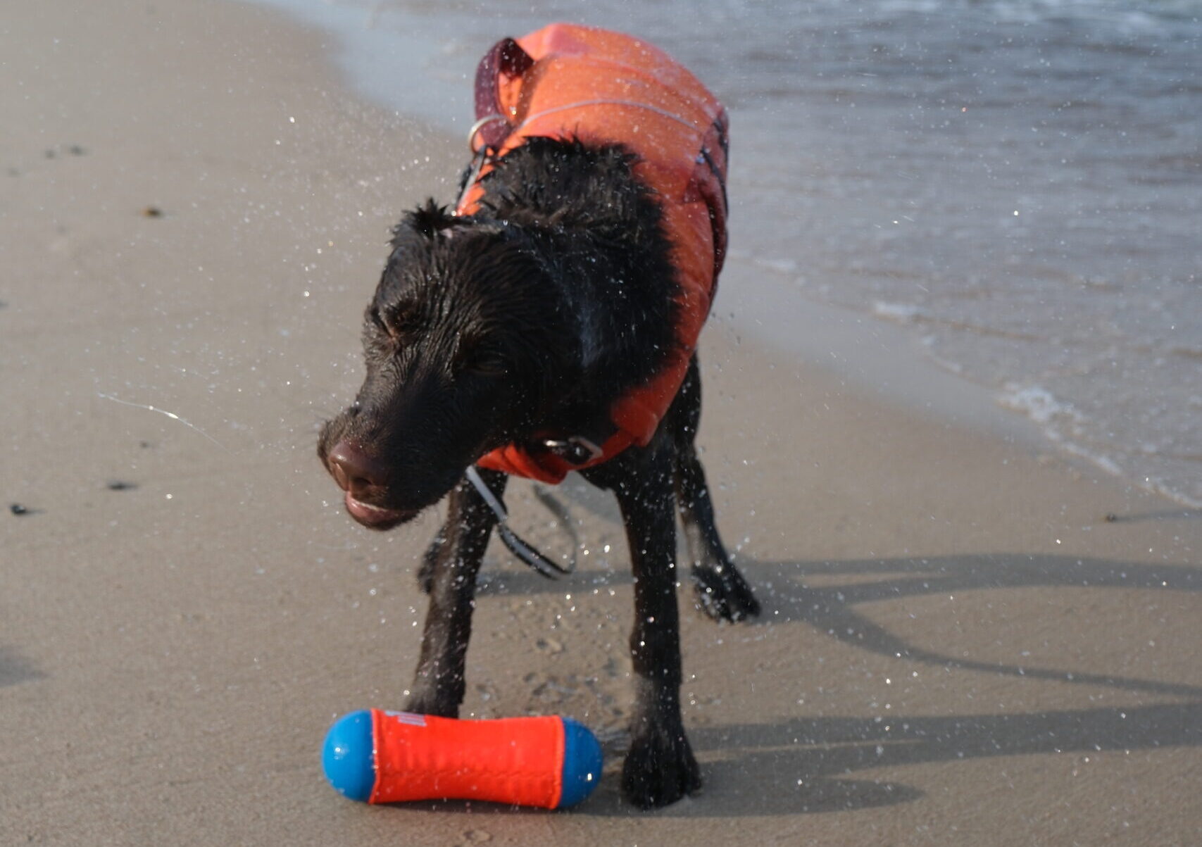 Let’s go to the beach