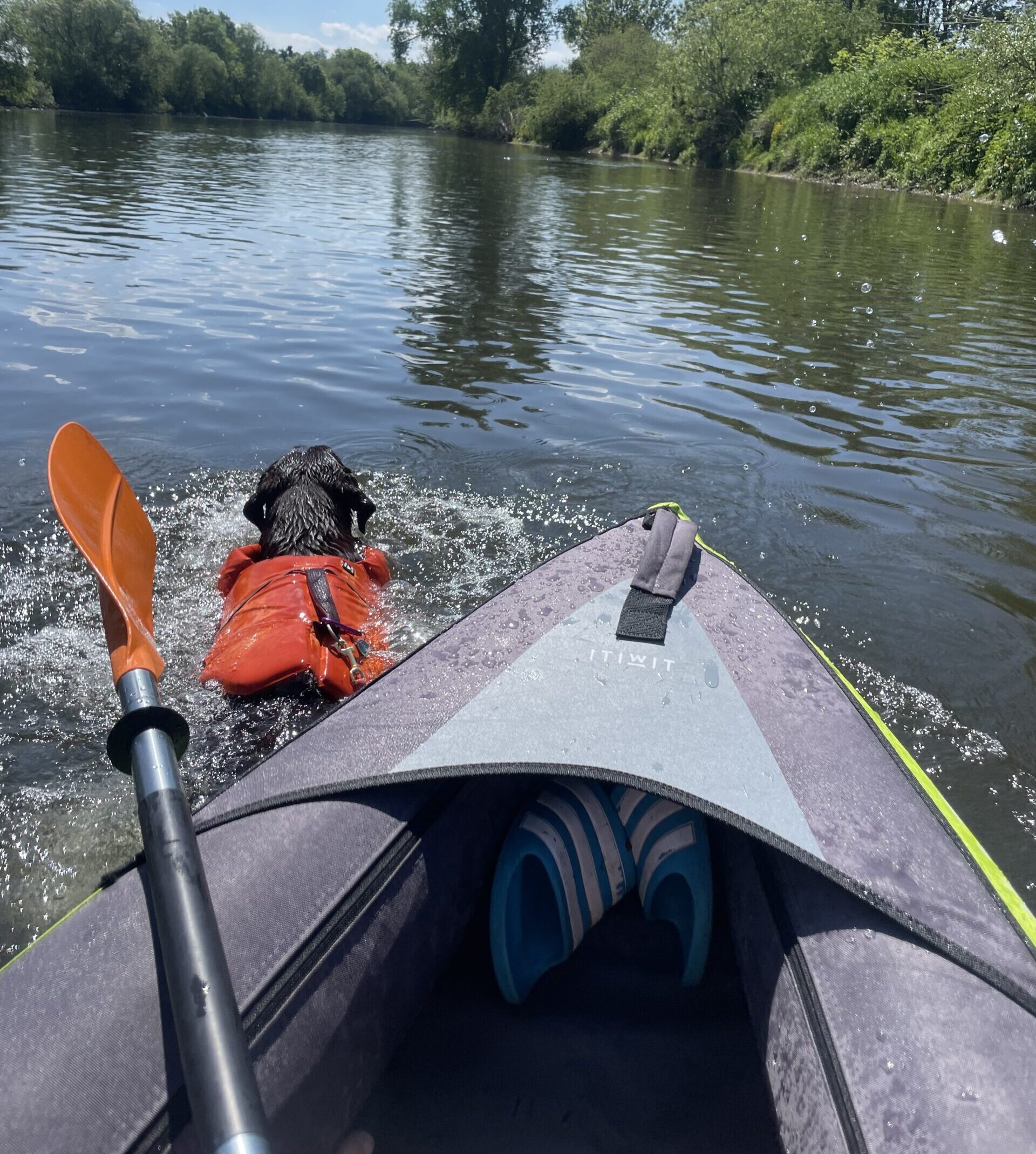 Kayaking