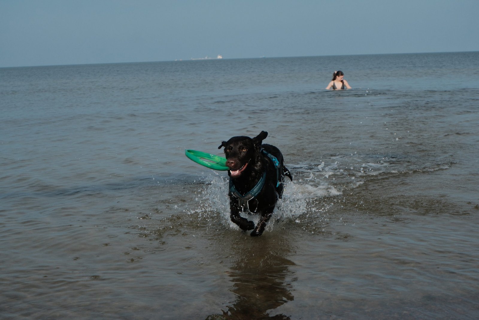 Summertime happiness